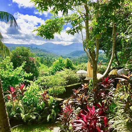 Gunung Paradis Retreat Munduk Exterior foto