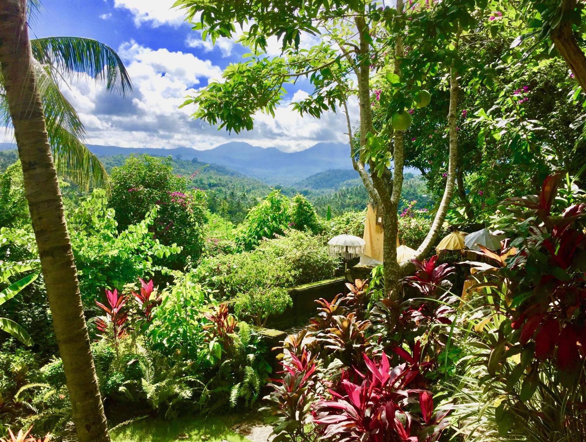 Gunung Paradis Retreat Munduk Exterior foto